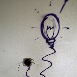 Light Bulb