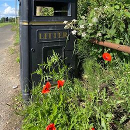 Litter Bin in Flower