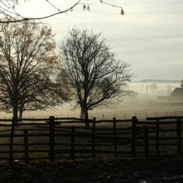 3rd. Misty-Morning. Clive Gibb. Judge: Members.