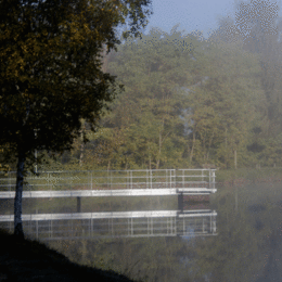 3rd.Misty-Morning. Clive Gibb. Judge: Members