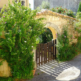 2nd. Number 8. Chris Whittle. Judge: Ray Bell. Well seen and taken, nice colours and the shadows work well.
