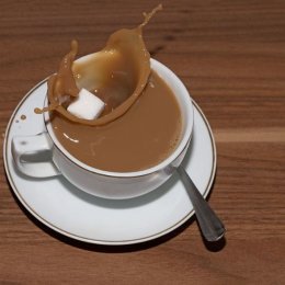 2nd. One lump or 2. Gayle Hall. Judge: John Stephenson.