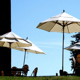 Parasols