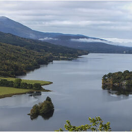 Queens View
