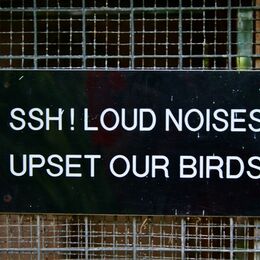Quiet please