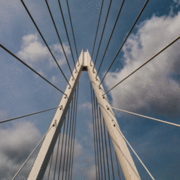 H.C. Spire. David Gray. Judge: Members.