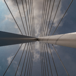 H.C.Spire. David Gray. Judge:Members.