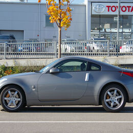 Spot the Z