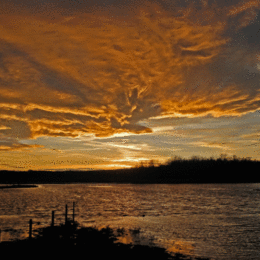 H.C. Sunset-at-Rainton-Meadows. John Stephenson. Judge: Mike Allport.