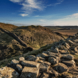 H.C. Sycamore-Gap. Ray Bell. Judge: Mike Allport.