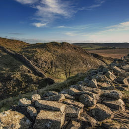 Sycamore Gap