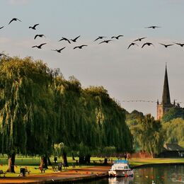 3rd. The Avon at Stratford. Bill Houston. Judge: Mavis McCormack.
