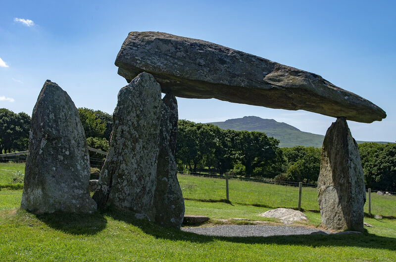 H.C. The built environment, early days. Chris Whittle. Judge: Peter Walton.