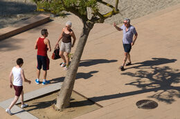 H.C. Thought it was you. John Stephenson. Judge: Terry Harvey.