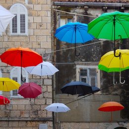 2nd. Umbrellas. Pauline Brighton. Judge: Sue Merrington