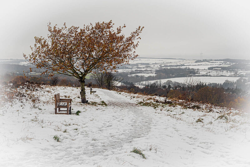 3rd, Waldridge Fell. Keith Harte. Judge: Arjun K Nambier