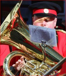 H.C. Well read!. Dave Ross. Judge: Janet Long.