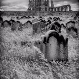 Whitby Abbey