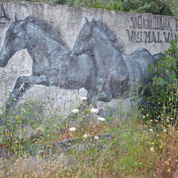 Wild Horses