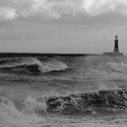 Windy Roker