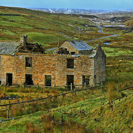 H.C. Wintery Weardale. Colin Davidson. Judge: Mavis McCormack.