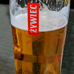 Zywiec