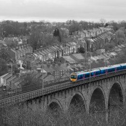 H.C. Blue train to Durham. John Humphries. Judge: Ray Bell.