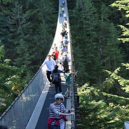capalano bridge