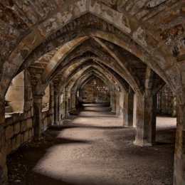 finchale arches 1