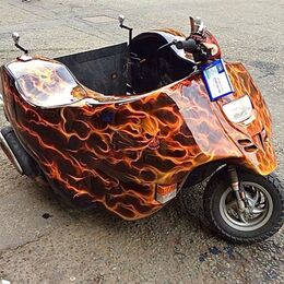 mobility carriage