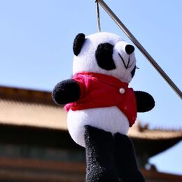 panda