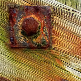 3rd. Rusty bolt. Sue Merrington. Judge: Gayle Hall