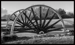 1st Wheels. Winner Quickfire Herrington Park