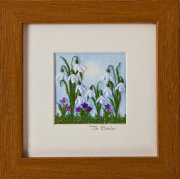 Snowdrops. Mount size 5" x 5"