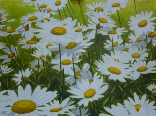 Daisies on Green
