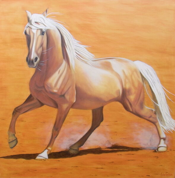 Palomino Play