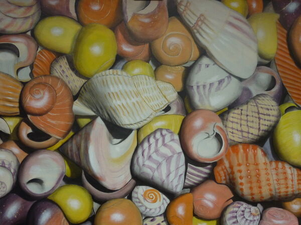 Seashell Colour