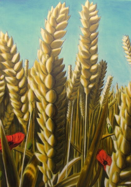 Wheat Field 2