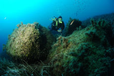 The Reef at Xatt l-Ahmar, Gozo