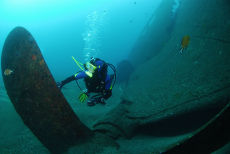 The propeller of the Dori