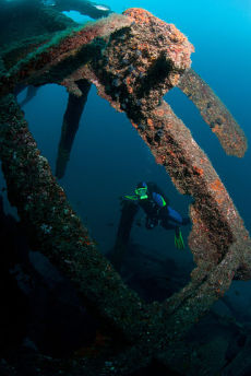 In the wreck of the Dori