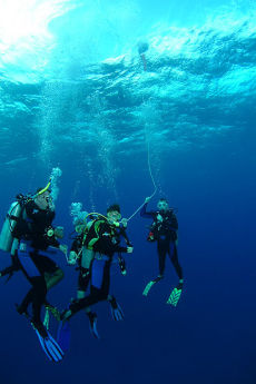 Decompressing above Hema 1, Grenada