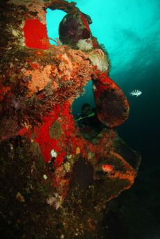 The Stern of the Quarter Wreck, Grenada