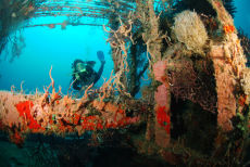 The Wreck of the Shakem, Grenada