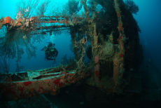 The Wreck of the Shakem, Grenada
