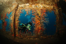Peering into the Shakem, Grenada
