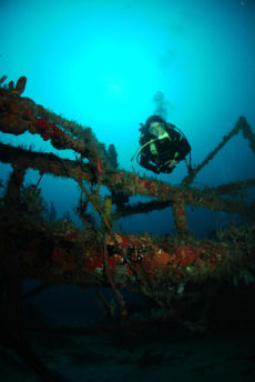 The Wreck of the Rum Runner, Grenada