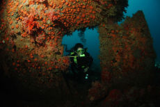 The Stern of the Veronica L, Grenada