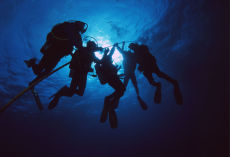 Decompressing above <i>The Duane</i> Florida Keys