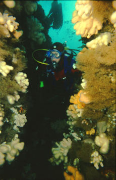 Diver at the Carrick, Isle of Man